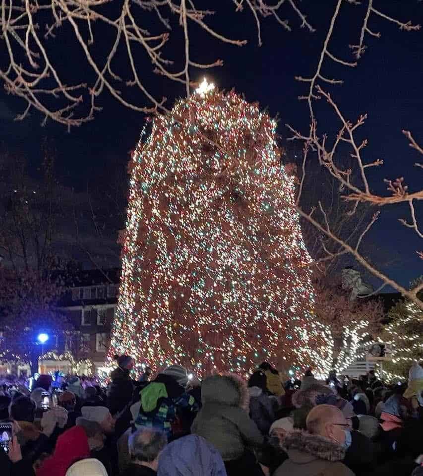 Photo: Christmas tree lighting on Palmer Square