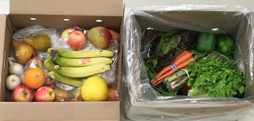 Rolling Harvest Food Rescue seeks volunteers for events and gleanings, will host a second free farm market in Trenton Friday