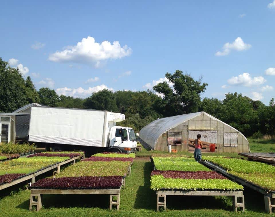 Honey Brook Organic Farm to move to new location next year