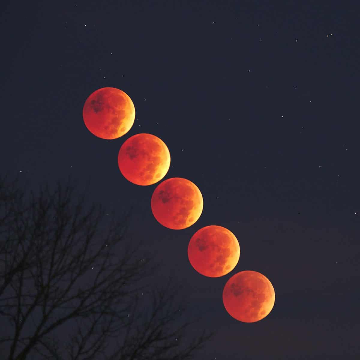 Photos: Lunar eclipse as seen from Princeton