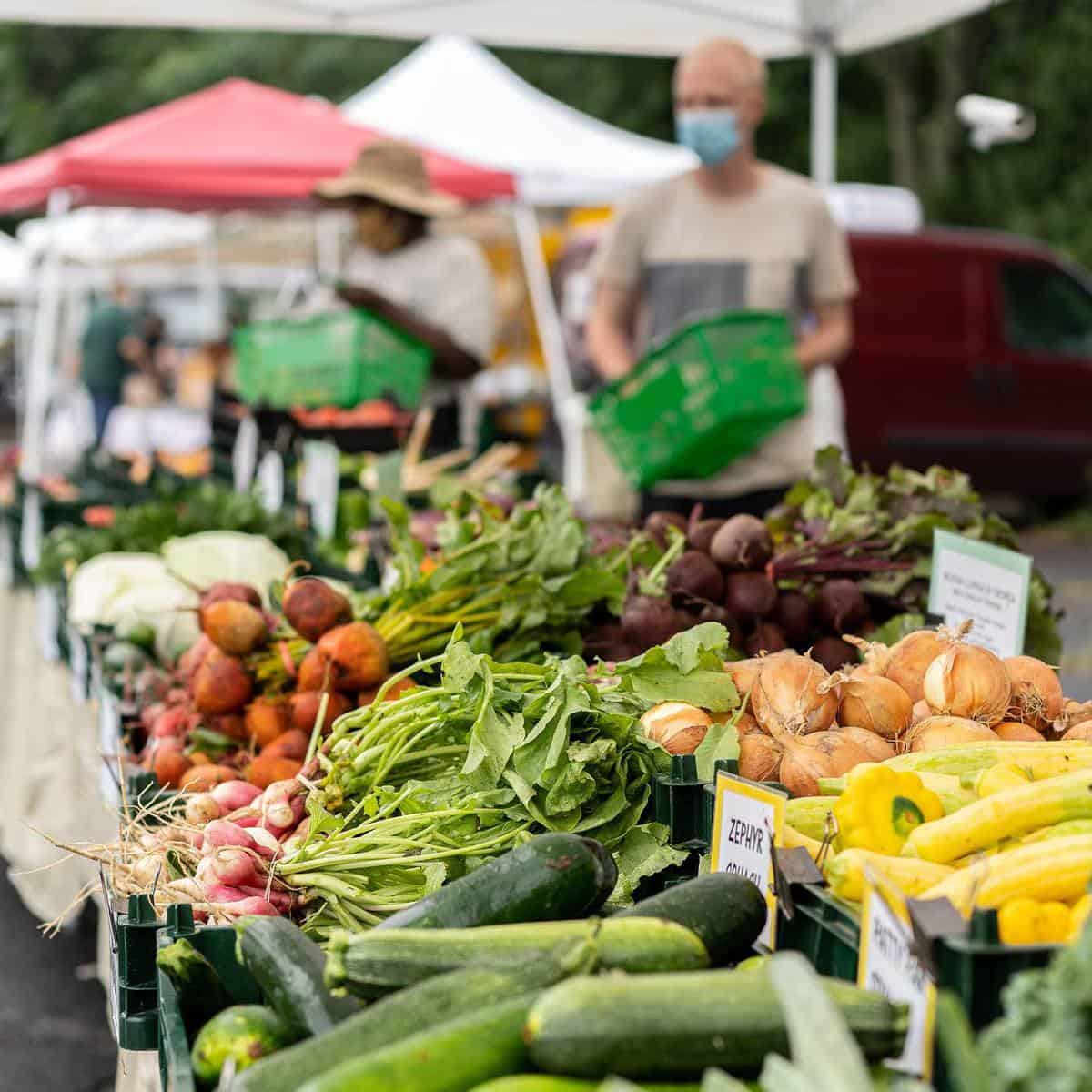 Princeton Farmers Market returns to Hinds Plaza