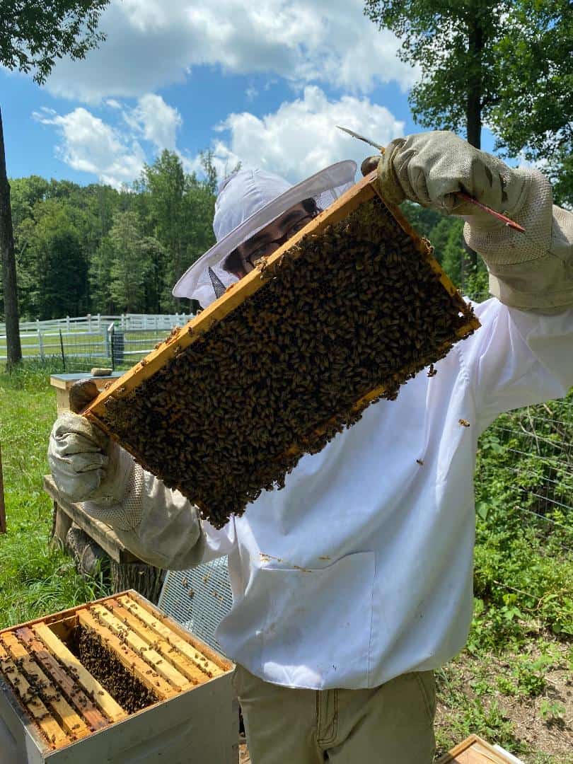Tassot Apiaries owner retires, company bought by NJ farm