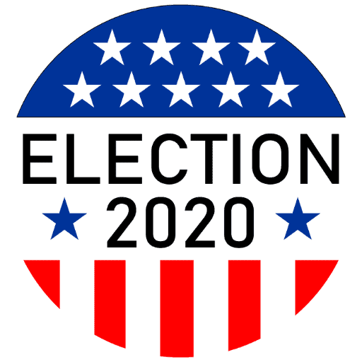Preliminary 2020 local election results