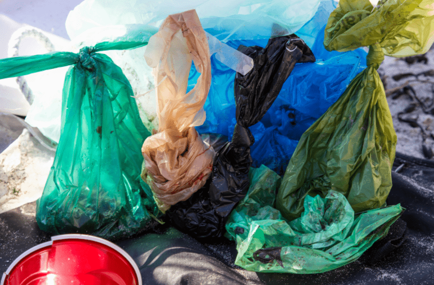 Princeton Council considering ban on plastic dog waste pick-up bags